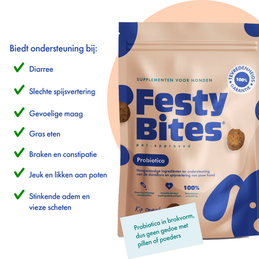 Probiotica hond - Kipsmaak - 30 snoepjes - FestyBites®