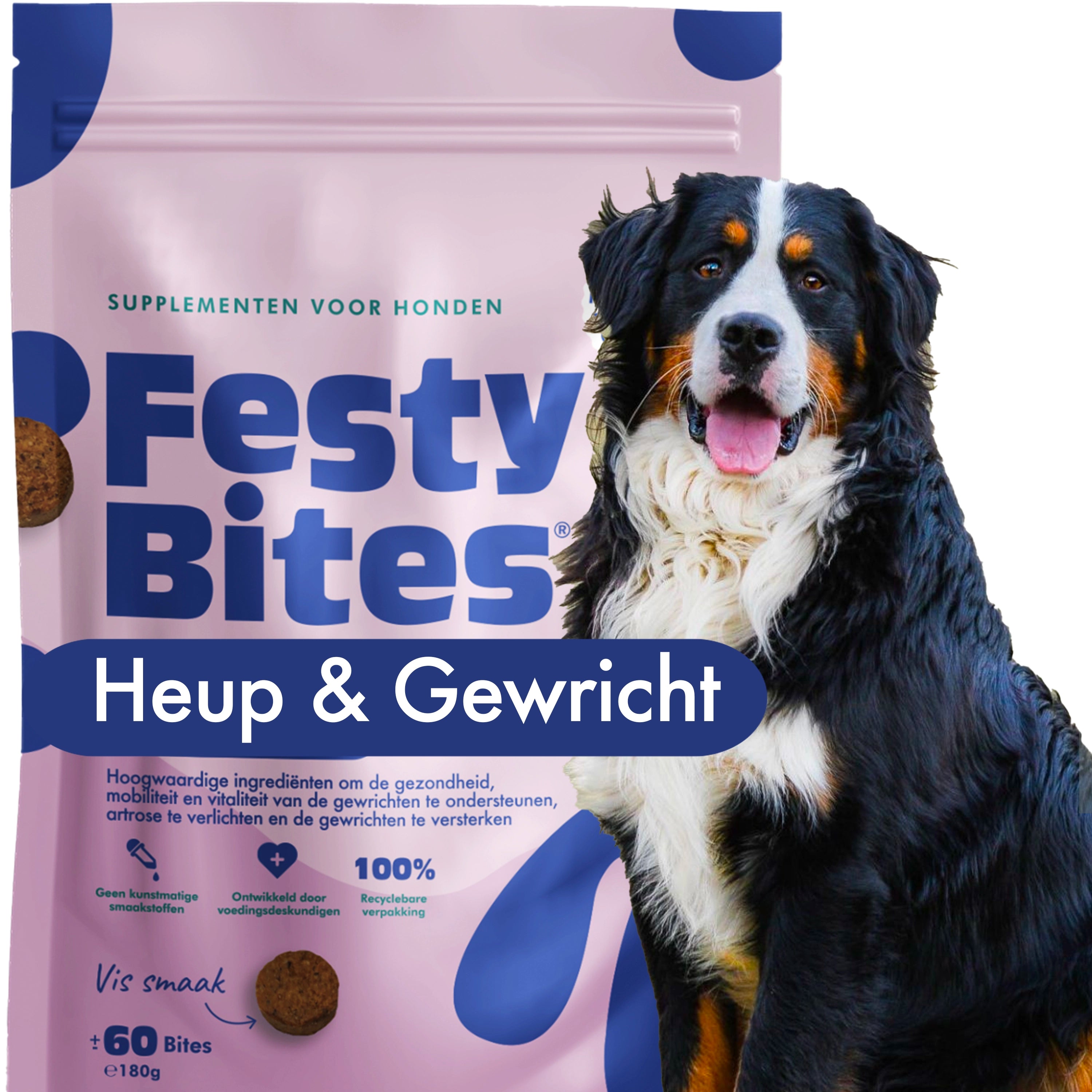 FestyBites® Heup & Gewricht met Glucosamine