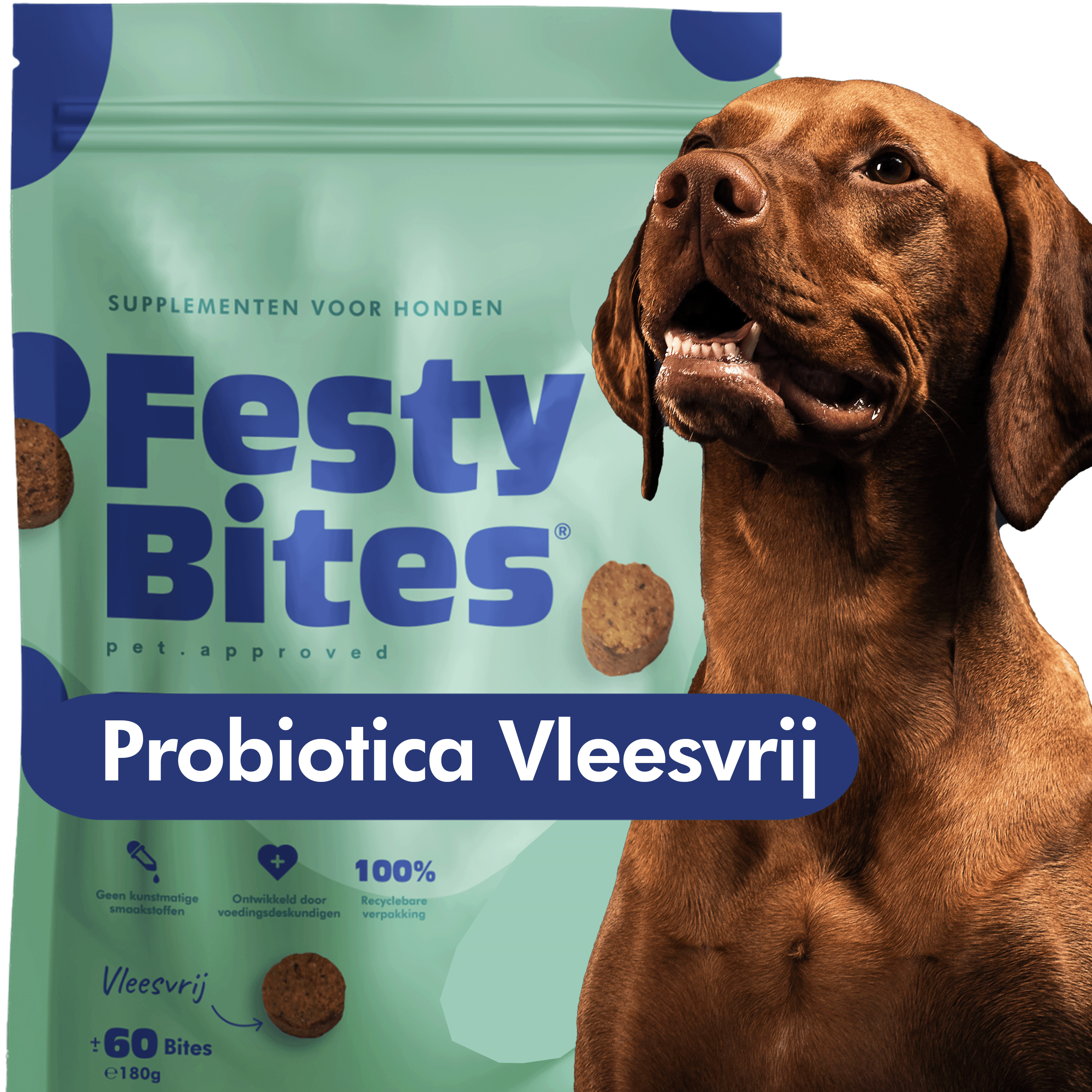 FestyBites® Probiotica Darmflora & Spijsvertering - Vleesvrij