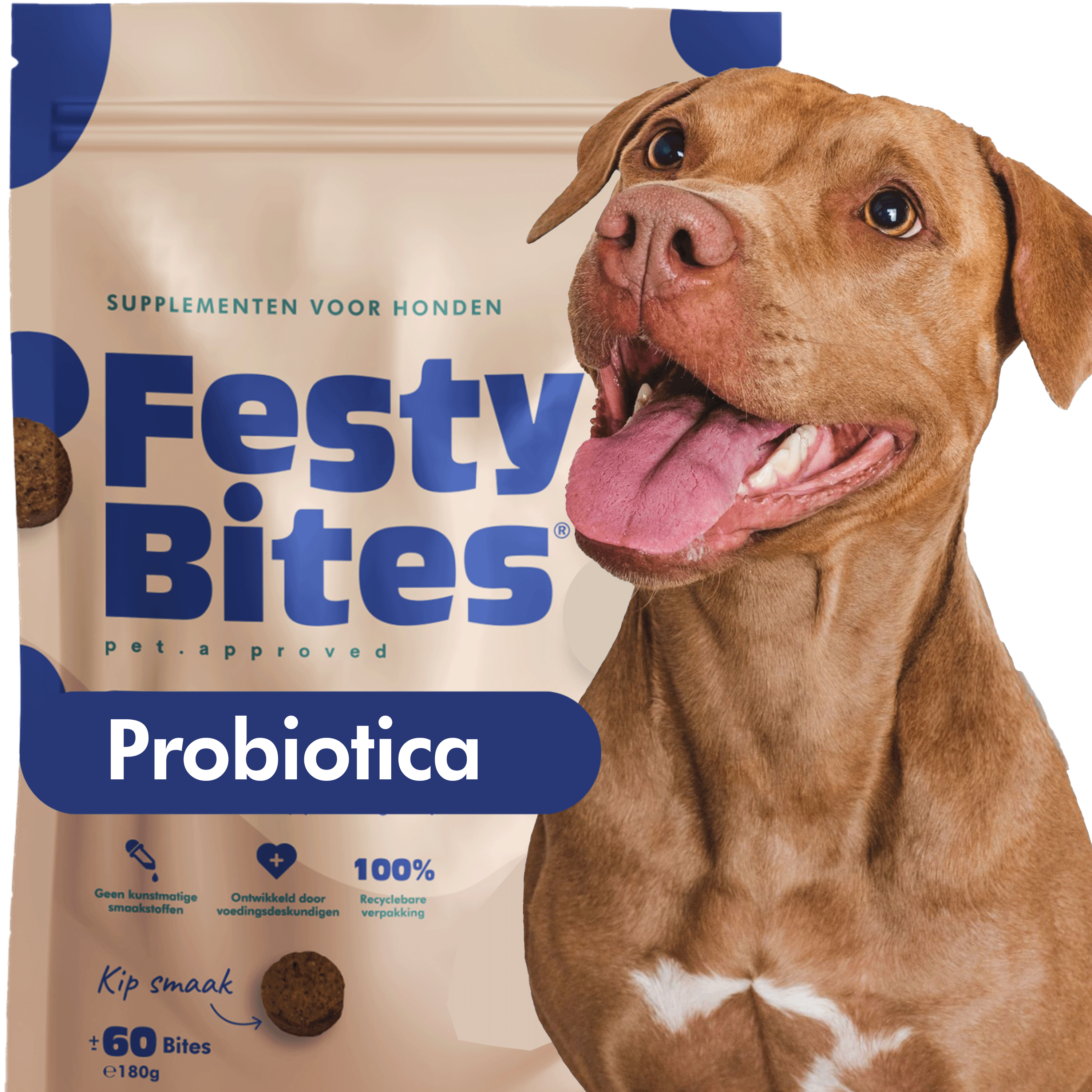 FestyBites® Probiotica met Kip