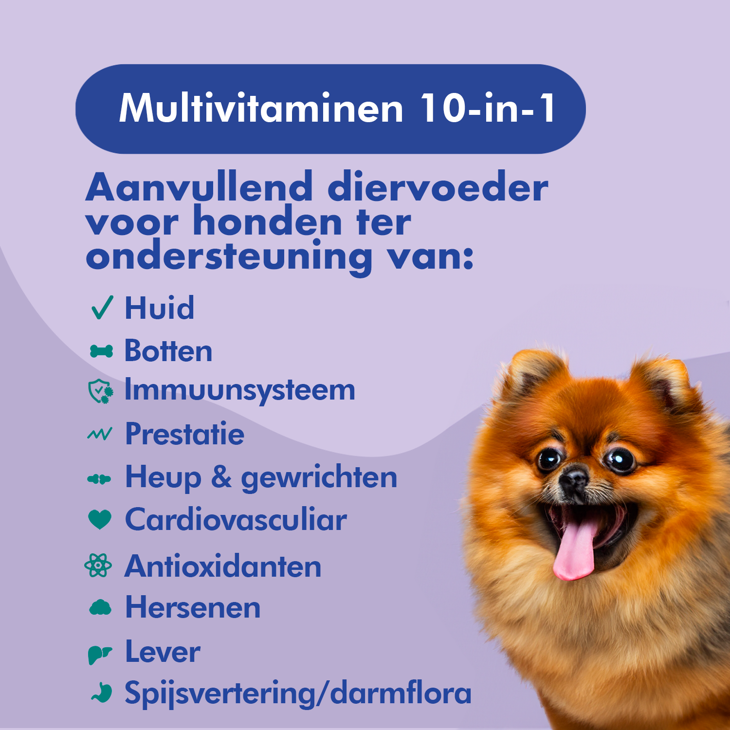 FestyBites Multivitaminen 10-in-1: aanvullend diervoer voor honden, verbetert huid, botten, weerstand, immuunsysteem, prestaties, heupen, gewrichten, cardiovasculair, hersenen, lever, spijsvertering.