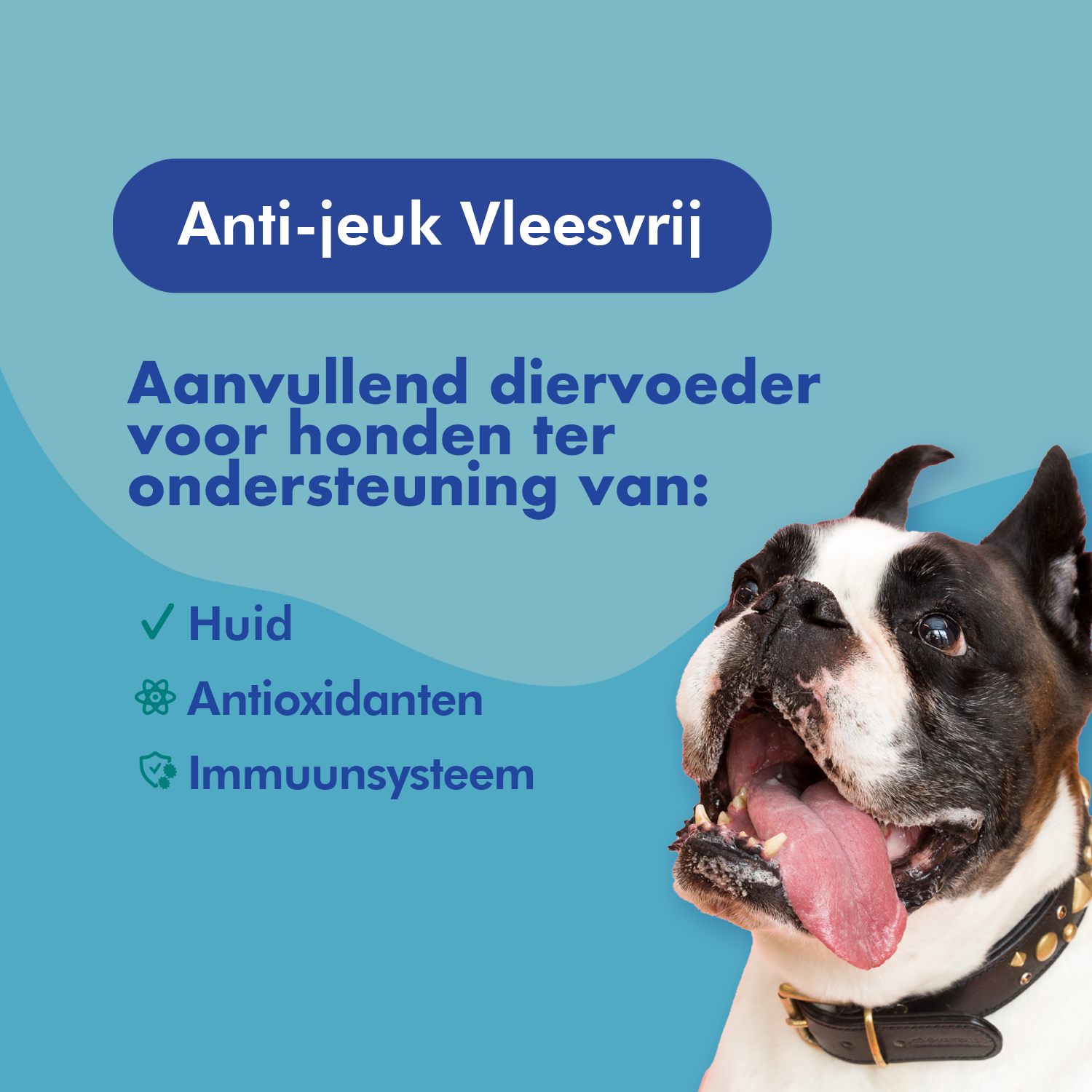 FestyBites Anti-jeuk Vleesvrij: aanvullend diervoer voor honden, verbetert huid, weerstand en immuunsysteem.