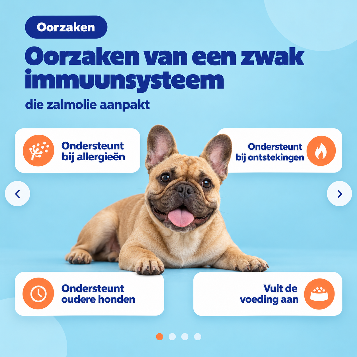 Zalmolie voor Honden en Katten 500 ml | Omega 3 & 6 | FestyBites