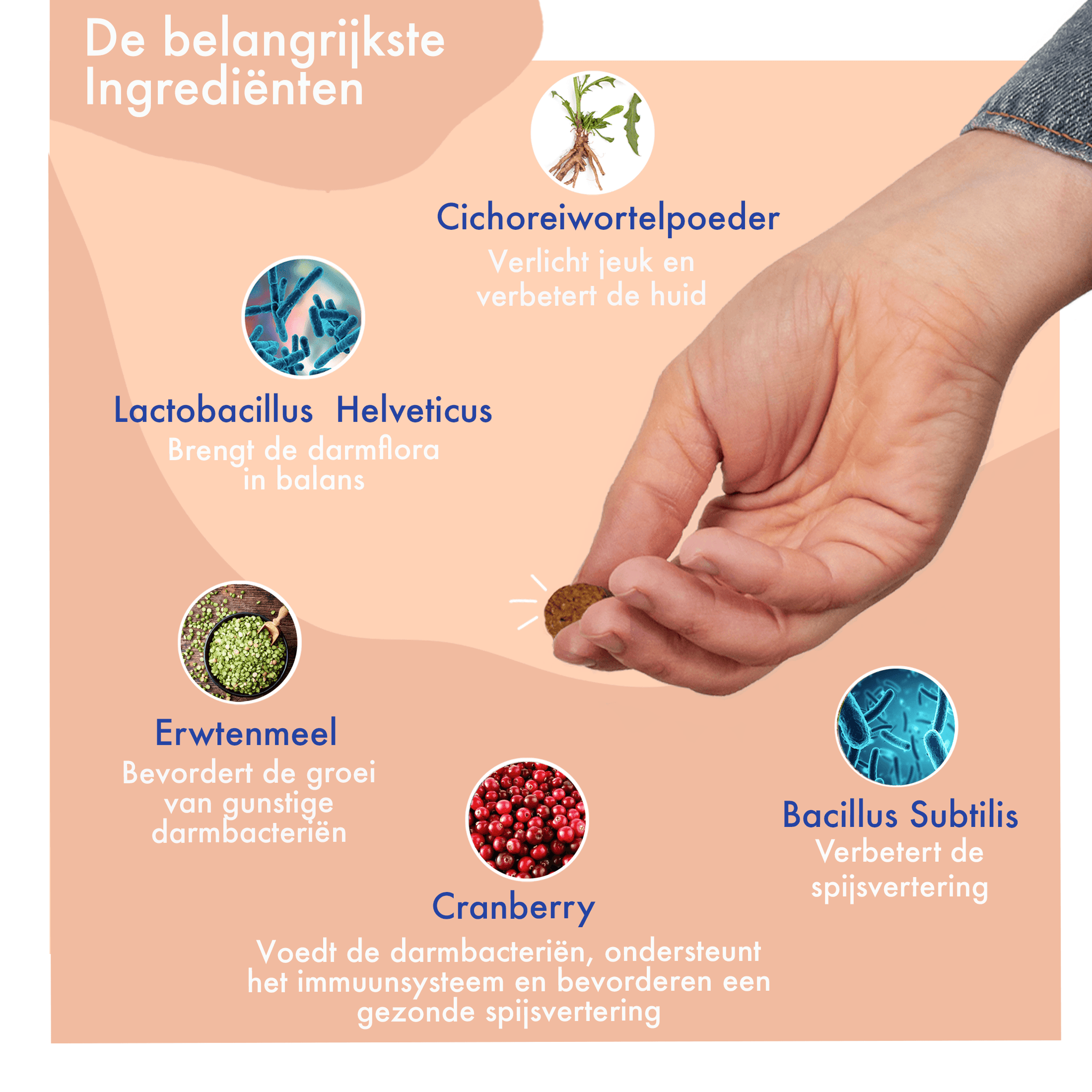 Probiotica hond - Kipsmaak - 30 snoepjes - FestyBites® 