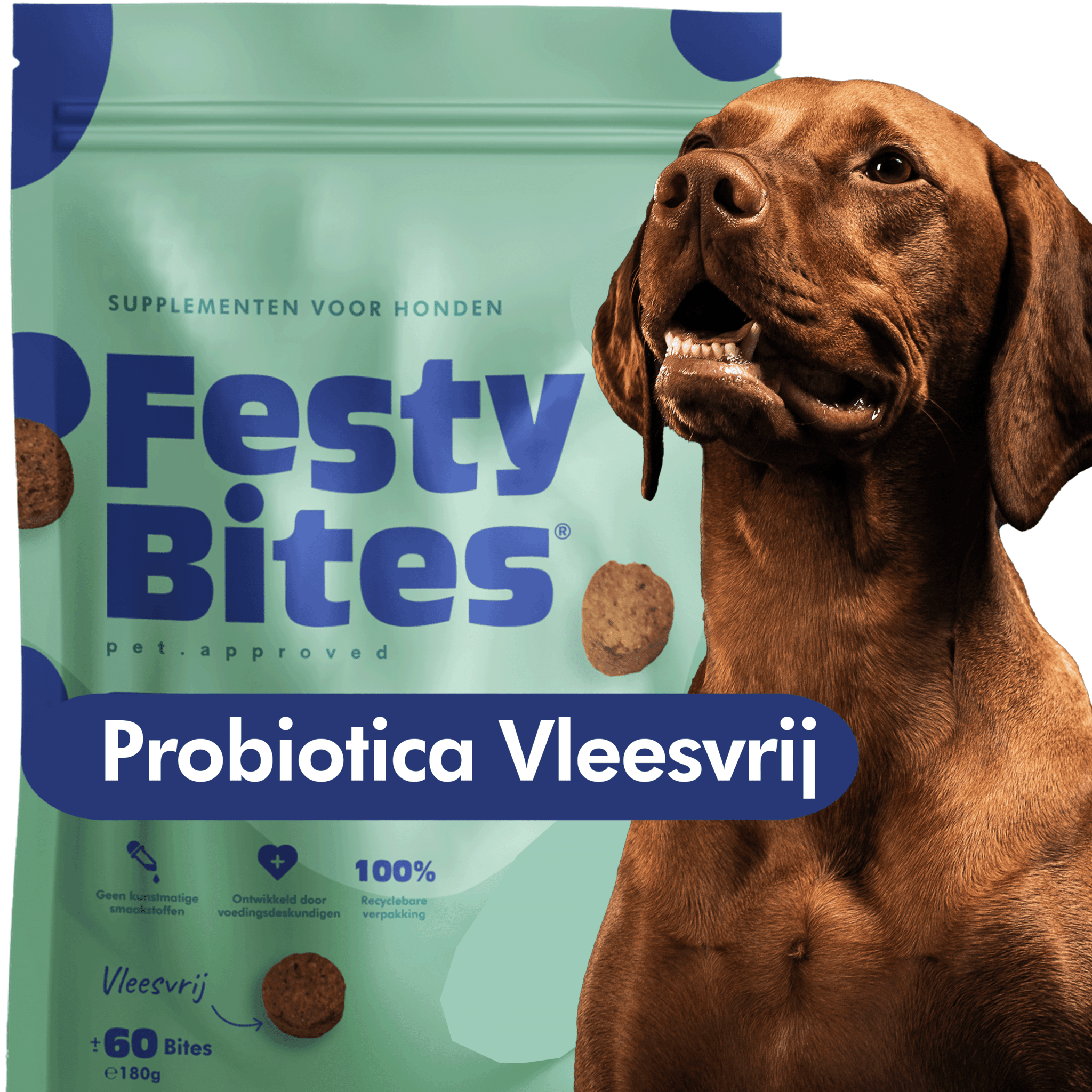 Probiotica - Vleesvrij - 30 snoepjes - FestyBites®