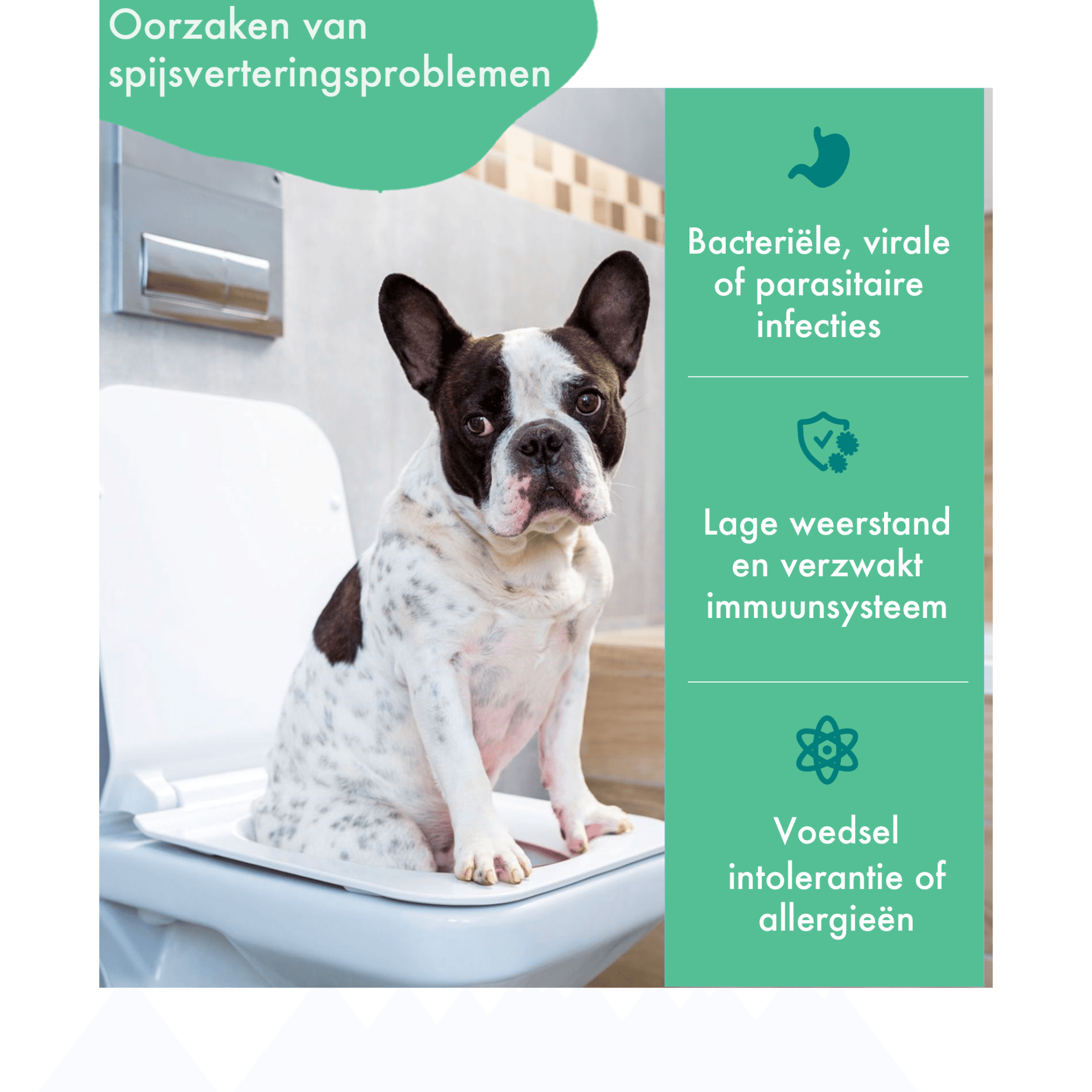 Zenker uitsteekvormpjes aanbieding bij Action Zenker uitsteekvormpjes aanbieding bij Action